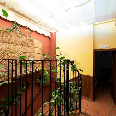 Cr.ciudad De Verdeoliva Segura de Toro