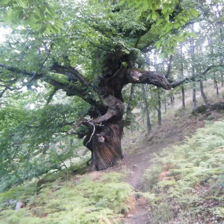 Lantställe Cr.ciudad De Verdeoliva