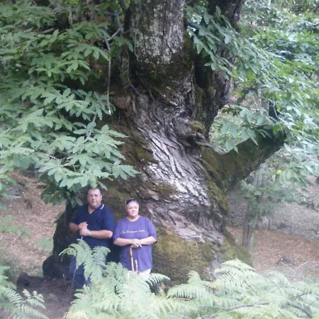 Lantställe Cr.ciudad De Verdeoliva Segura de Toro