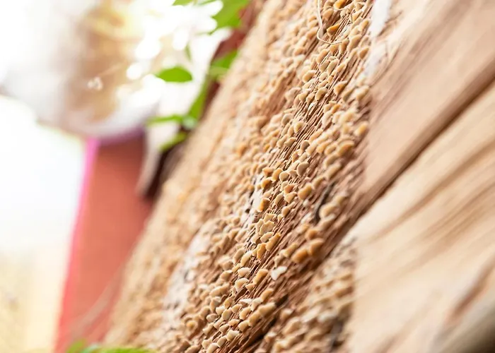 Ciudad De Verdeoliva Séjour à la campagne