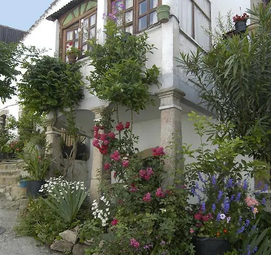 Ciudad De Verdeoliva *