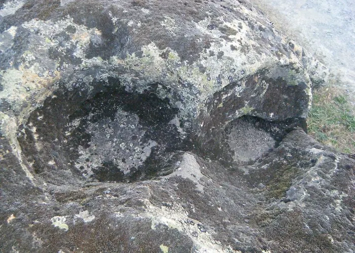 Ciudad De Verdeoliva *