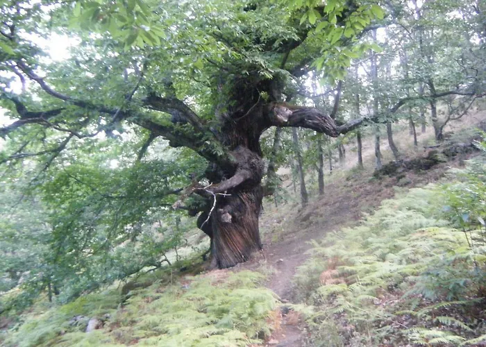 Séjour à la campagne Ciudad De Verdeoliva
