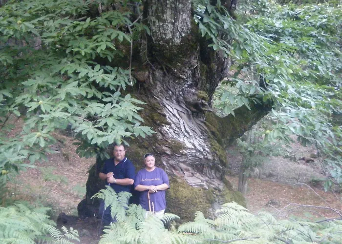 Séjour à la campagne Ciudad De Verdeoliva Segura de Toro