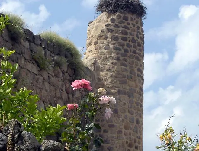 Ciudad De Verdeoliva