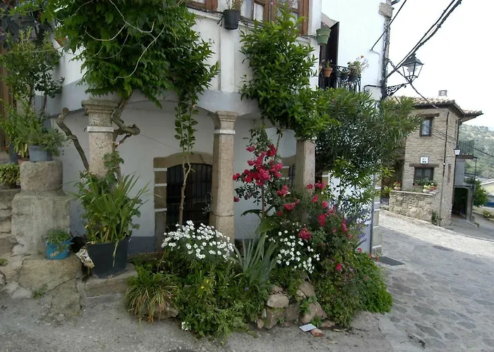 Ciudad De Verdeoliva Segura de Toro